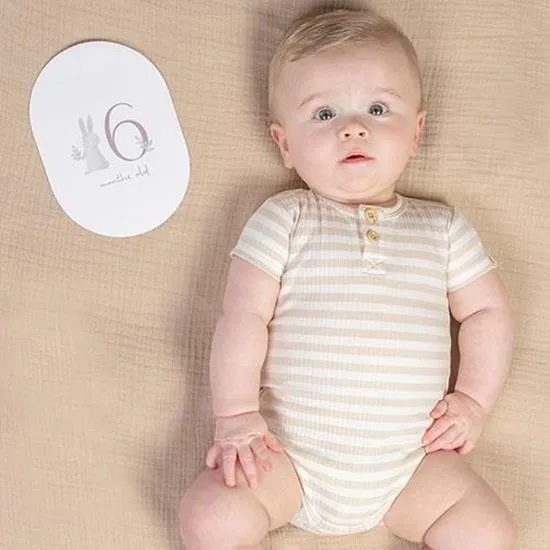 Baby Milestone Cards, Baby Bunny - Little Dutch