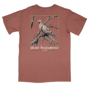 Dove Tee-Clay or Light Green