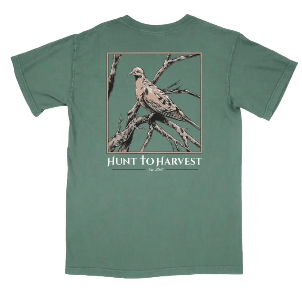 Dove Tee-Clay or Light Green
