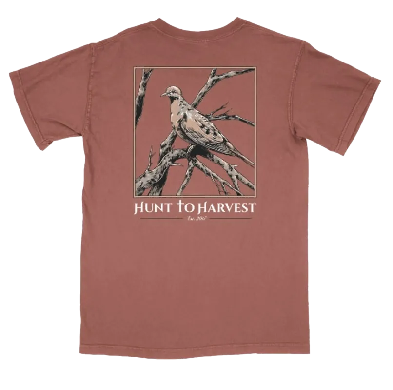 Dove Tee-Clay or Light Green