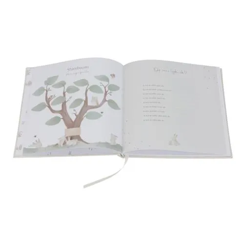 Little Dutch Baby Book 'My first year' - Baby Bunny