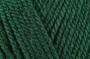 Stylecraft Special DK - Bottle 1009
