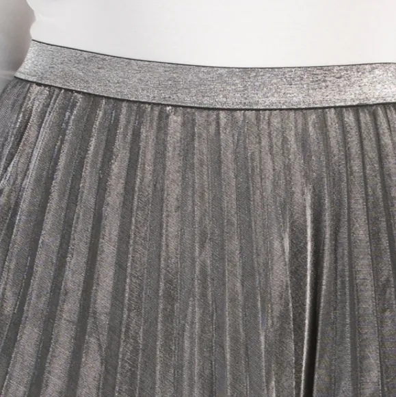 Wdny Plus Pleated Midi Skirt
