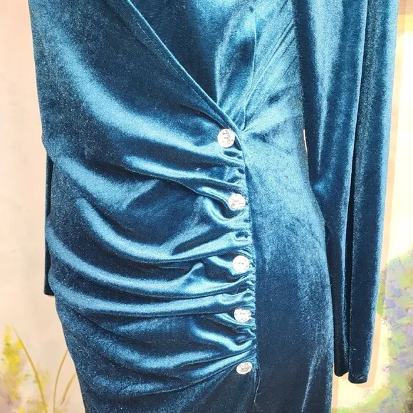 Zara JEWEL BUTTONED VELVET DRESS
