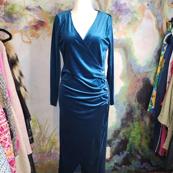 Zara JEWEL BUTTONED VELVET DRESS