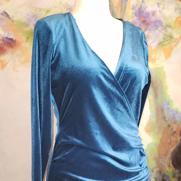 Zara JEWEL BUTTONED VELVET DRESS