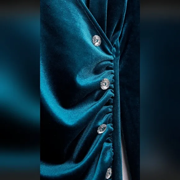 Zara JEWEL BUTTONED VELVET DRESS