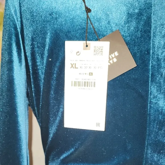 Zara JEWEL BUTTONED VELVET DRESS